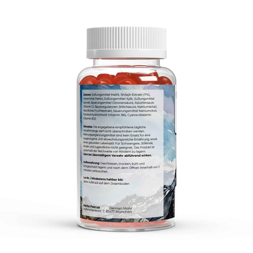 Shilajit-Gummies-GIPFELSTUERMER-MAX-Wilde-Beeren-Herba-Pascua-Zutaten