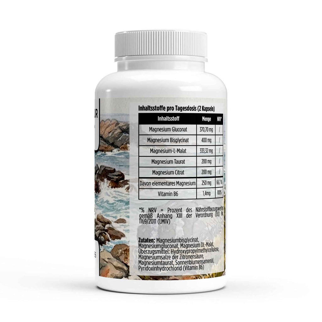 Produkt ​NERVEN KRAFT PUR von Herba Pascua (KI-generierte Produktdarstellung)